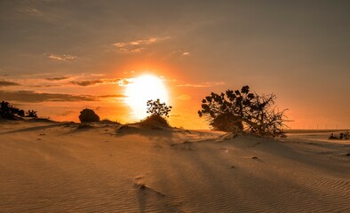 sunset in the desert