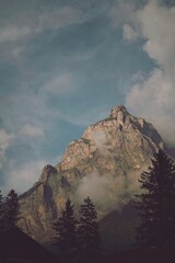 Morning in the Swiss Alps