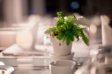 Empty dinner table in a luxurious hotel