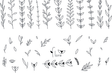 Leaf vector elements. Different variants of spring branches with leaves