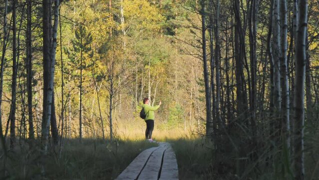 The look of the lady on the nature reserve in the forest taking photos of the trees around. Swamp landscape.