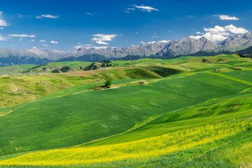Summer Jiang braque scenic spot landscape in Qitai county Xinjiang Uygur Autonomous Region, China.