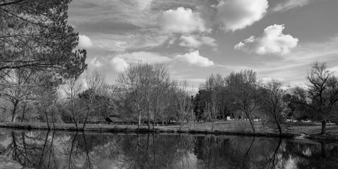reflection of trees in the water black and white