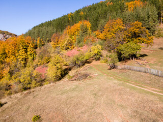 Naklejka premium Autumn Landscape of Erul mountain near Kamenititsa peak, Bulgaria