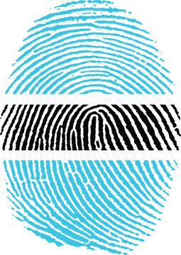Illustration vectoris&eacute; de l'empreinte du drapeau du Botswana