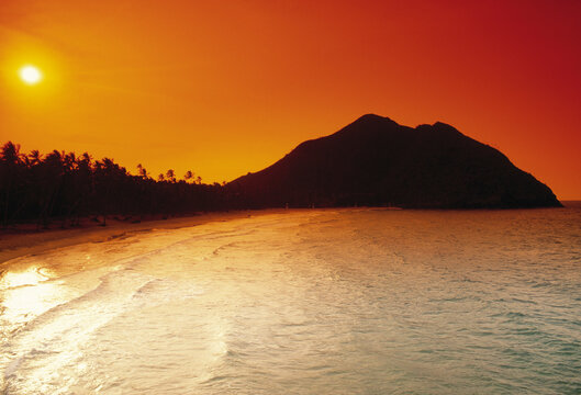 Tropical beach with palm trees at sunset, Choroni, Aragua State, Venezuela