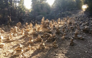 Hike up Cougar Crest to the Pacific Crest Trail