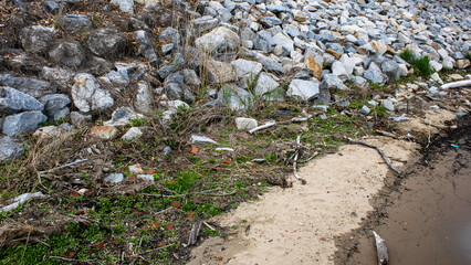 flowers on the beach