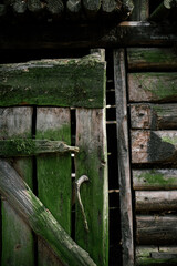 wooden door covered with moss