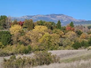 Autumn colors on the Mt Diablo Foothills, California