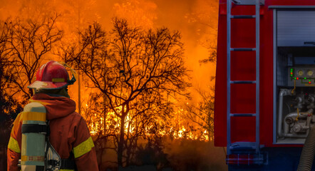 Firefighter extinguishing  wildfire with fire truck © toa555