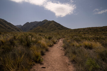 Hiking along the yellow grassland. View of the footpath along the meadow and into the mountains, in a sunny day.