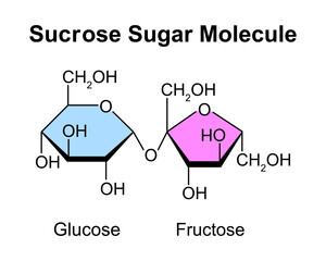 Sucrose Sugar Molecule. Glucose And Fructose. Vector Illustration.