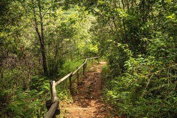 natural landscape in the city of Lagoa Santa, State of Minas Gerais, Brazil