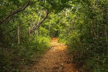 natural landscape in the city of Lagoa Santa, State of Minas Gerais, Brazil
