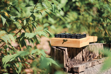 Wooden essential oils box on log in natural outdoor setting with lid open