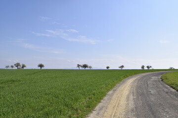 Fototapeta na wymiar Peaceful landscape with road and fields