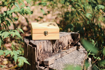 Firefly NSW Australia - 20 April 2022: Wooden Doterra essential oils box in natural outdoor setting