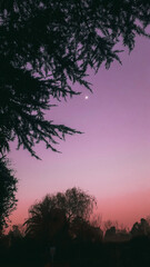 sunset over the lake
