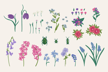 Garden plants and beetles