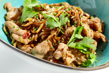 Japanese soba with chicken cooked on wok in asian style on white background. Noodle with chicken in ceramic bowl. Indonesian wok with soba noodles. Spicy thai dish with meat and udon.