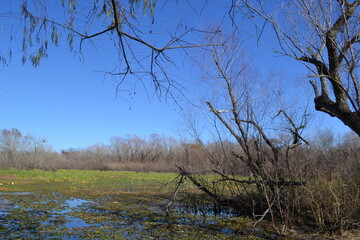 View from Cullinan Park, Sugar Land, Texas