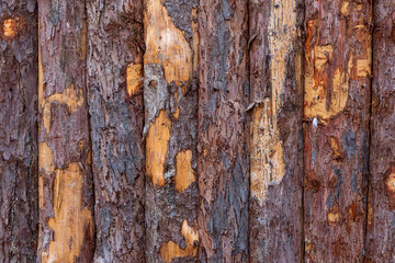 Board on Board wooden fence shows signs of wear and tear, needs to be stained again.