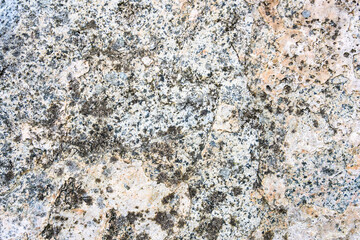 Textured rock in cream, orange, gray, and blue colors, and lichen, as a natural  background
