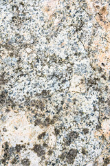 Textured rock in cream, orange, gray, and blue colors, and lichen, as a natural  background
