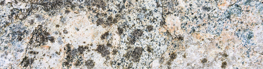 Textured rock in cream, orange, gray, and blue colors, and lichen, as a natural  background
