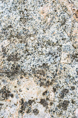 Textured rock in cream, orange, gray, and blue colors, and lichen, as a natural  background
