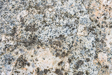 Textured rock in cream, orange, gray, and blue colors, and lichen, as a natural  background
