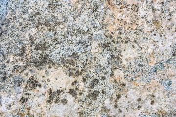 Textured rock in cream, orange, gray, and blue colors, and lichen, as a natural  background
