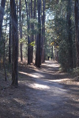People are walking in the trail in Cullinan Park, Sugar Land, Texas