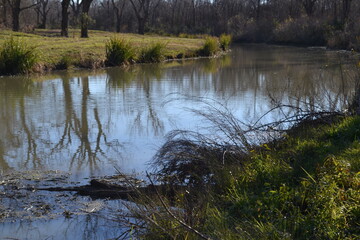 Obraz na płótnie Canvas Oyster Creek, natural stream in Cullinan Park, Sugar Land, Texas