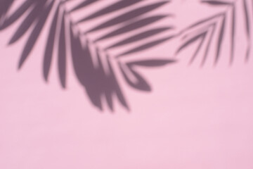 Fototapeta na wymiar Gray shadow of palm leaves on a pink background, copy space