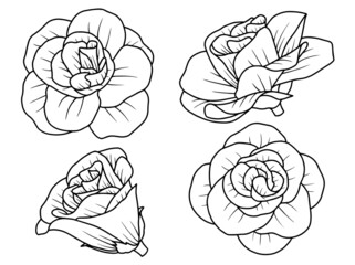 Hand drawn flower sketch line art illustration