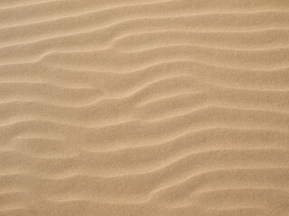 Sand texture.Dented wave of the blow of the wind