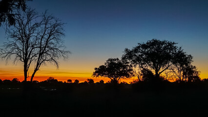 Fototapeta na wymiar Beautiful orange sunset with silhouette of trees in Botswana Africa seen on a luxury safari holiday whilst travelling