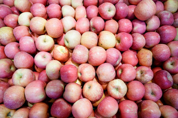 Apples spread all over the stalls