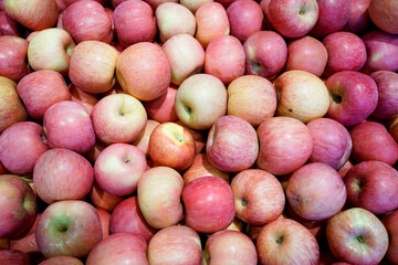 Apples spread all over the stalls