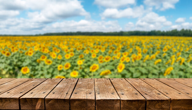 Empty old wooden table with sunflowers field in background