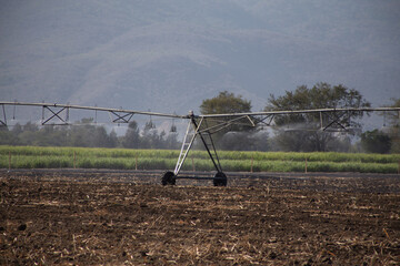 Fototapeta premium irrigation system on a farm in a open field