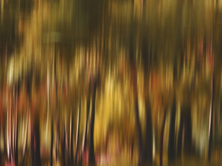 Abstract natural background, motion blur of tree in the forest at autumn season