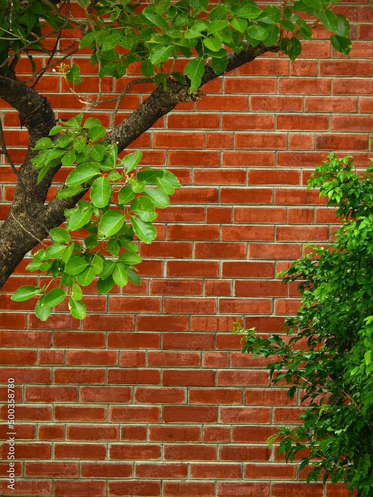 Sticker green on branch with old brown brick wall background