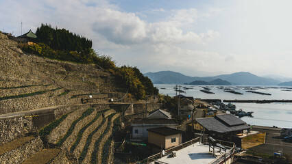 愛媛県宇和島市　遊子水荷浦の段畑
