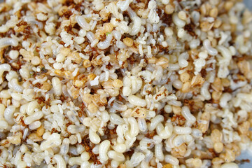 Red ant eggs are used for cooking.
