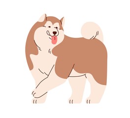 Cute dog of Chinese Alaskan Malamute breed, standing with tongue out. Funny Asian canine animal, chunky doggy. Happy fluffy puppy going. Flat vector illustration isolated on white background