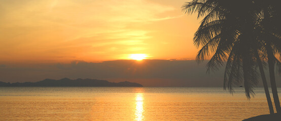 tropical palm tree and sea at sunset panorama, website banner