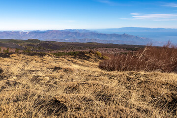Yellow golden dry grass on brown dark volcanic sand, bare terrain. Scenic view on volcano mount...